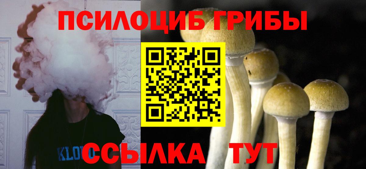 Псилоцибиновые грибы прущие грибы Ангарск