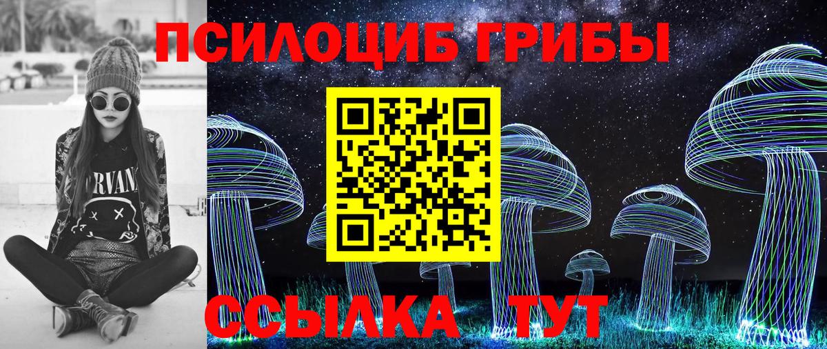 Ангарск  Псилоцибиновые грибы GOLDEN TEACHER  Вход с VPN  Галлюциногенные грибы Cubensis 